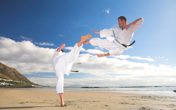 Бойцы карате