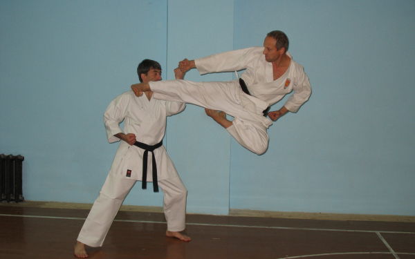 Карате-боевое искусство