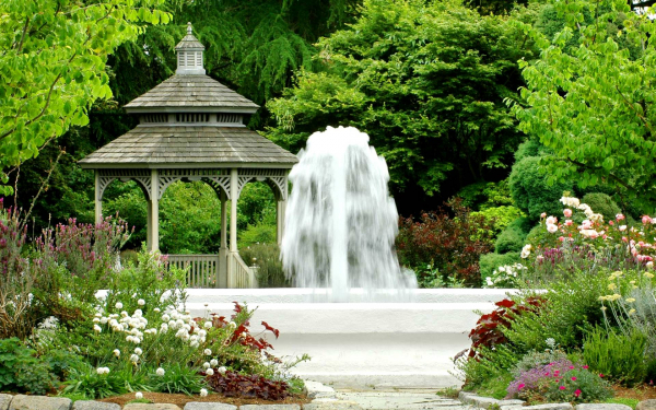 Фонтан в зоопарке Сиэтла