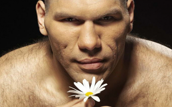 Боксер  Никопай  Валуев