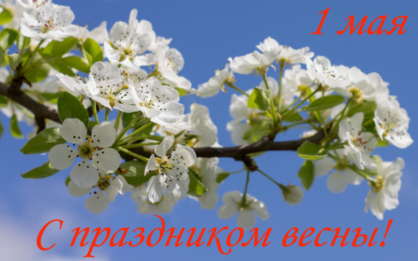 Праздник весны 1 мая