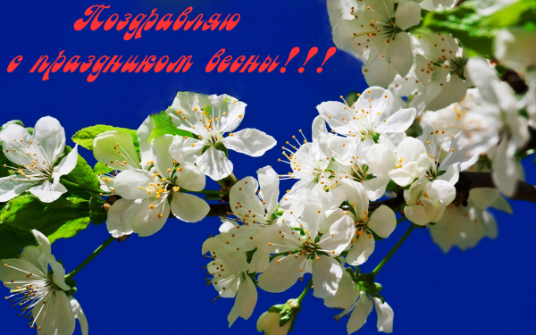 Поздравляю с праздником весны