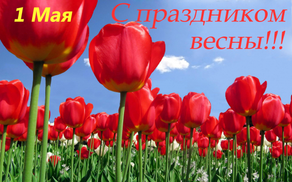 С праздником весны 1мая