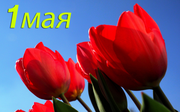 Весенний праздник первомай