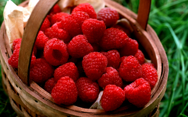 Ягода малина