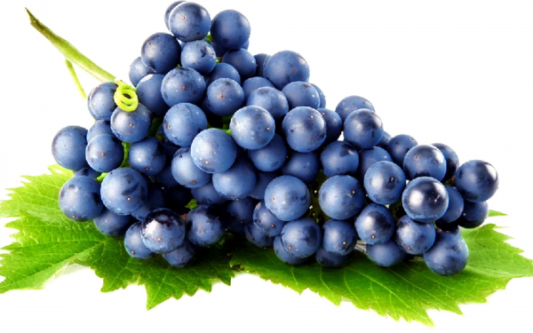 Гроздь спелого винограда