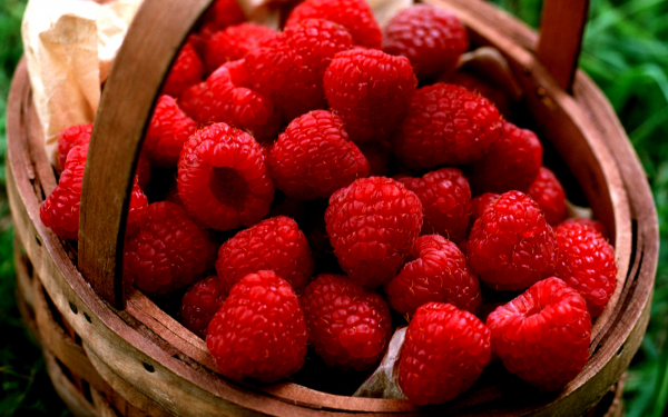 Сладкая малина в корзине
