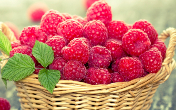 Спелая малина в корзиночке