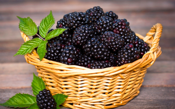 Ежевика в корзинке