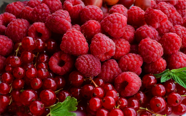 Малина и красная смородина