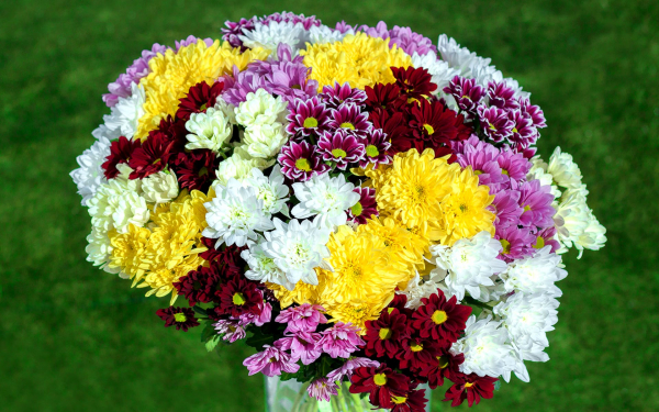 Букет из хризантем