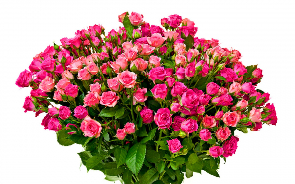 Большой букет