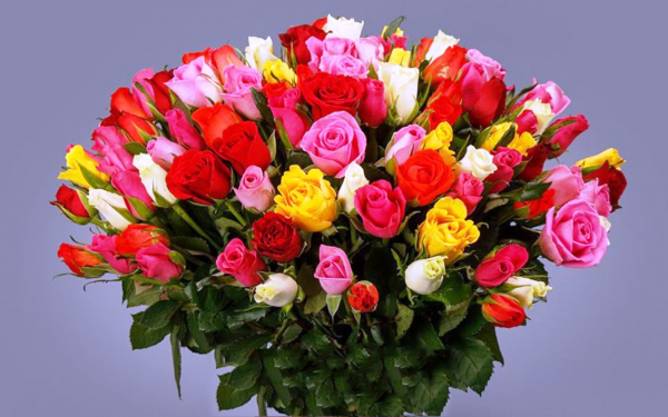 Букет из разноцветных роз