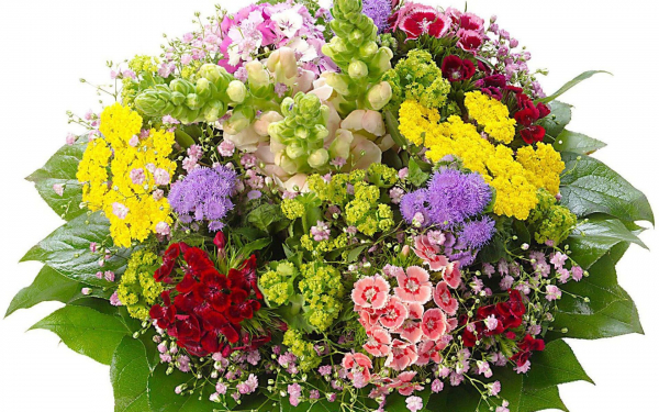 Букет цветов