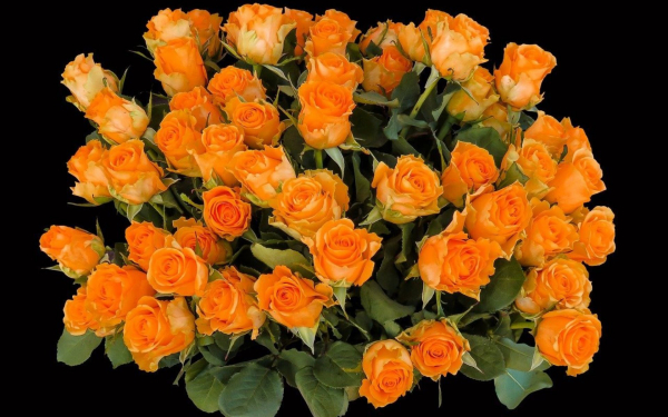 Красивый букет из оранжевых роз