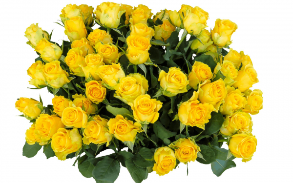 Букет из красивых желтых роз