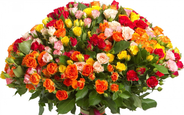 Большой красивый букет из разноцветных роз