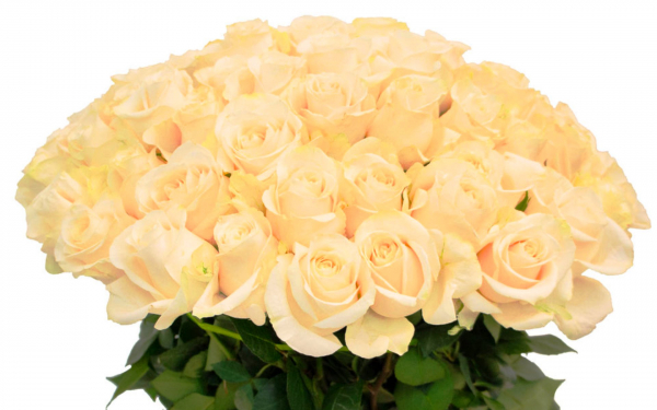 Цветы розы букет