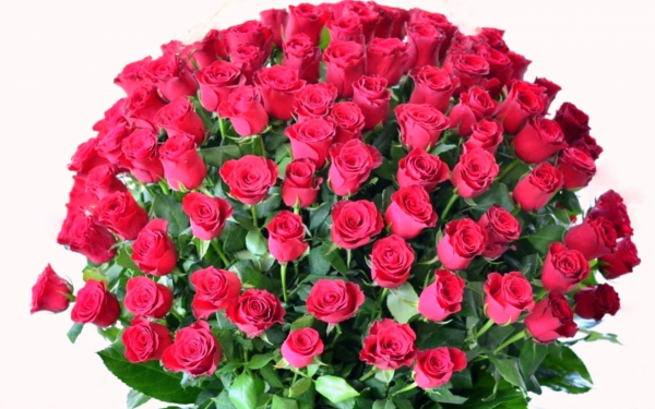 Огромный букет красных роз