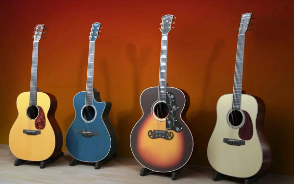 Шестиструнные гитары