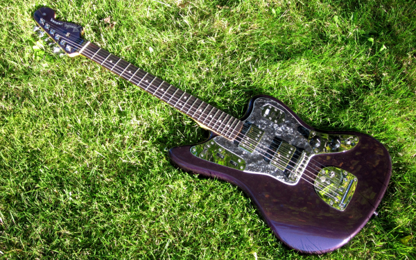 Гитара на поляне