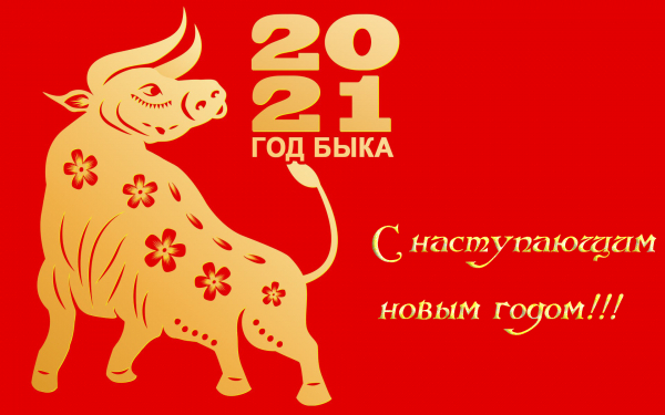 Новый год быка