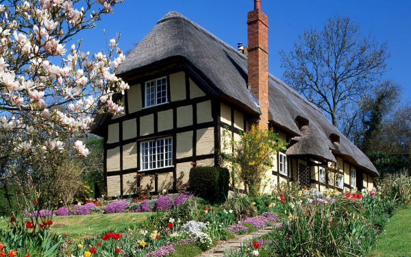 Весенний сад