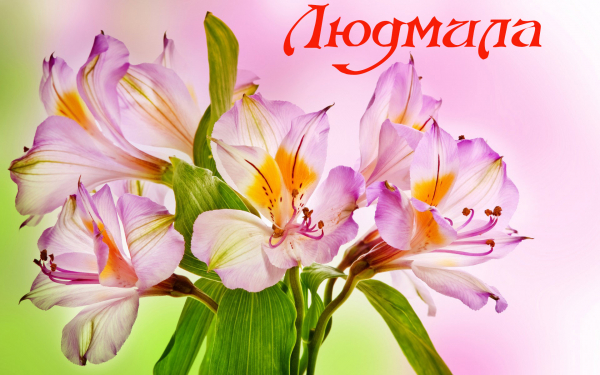 Имя Людмила