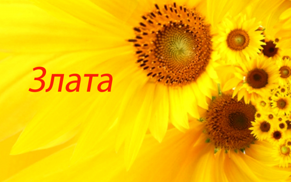 Злата
