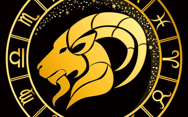 Знак зодиака Козерог