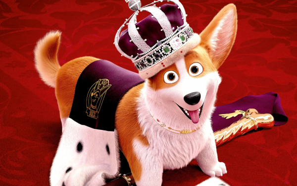 Королевский корги