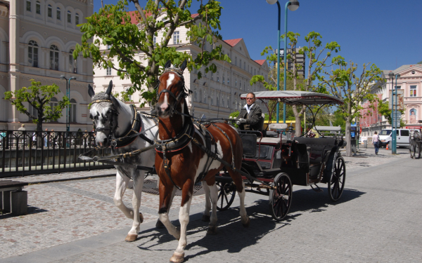 Конный экипаж в Париже