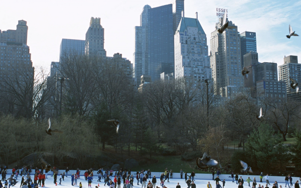 Каток в парке Нью-Йорка