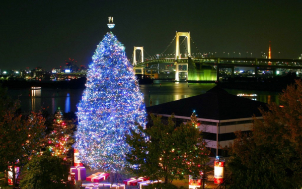 Новый год в Токио