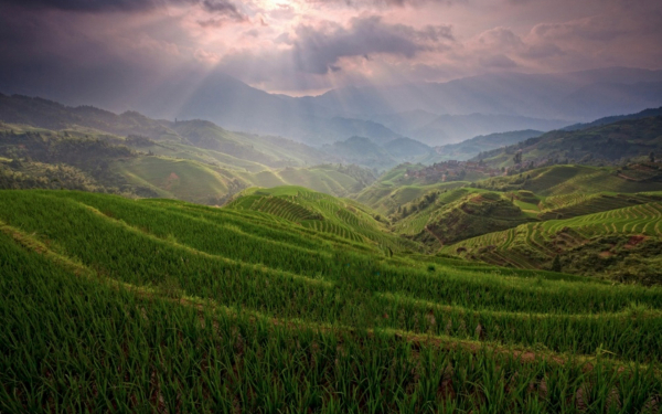 Поля в провинции Гуйлинь