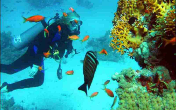 Дайвер в Красном море