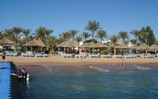 Дайверы на Красном море