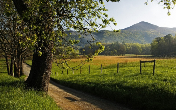 Дорога в горы