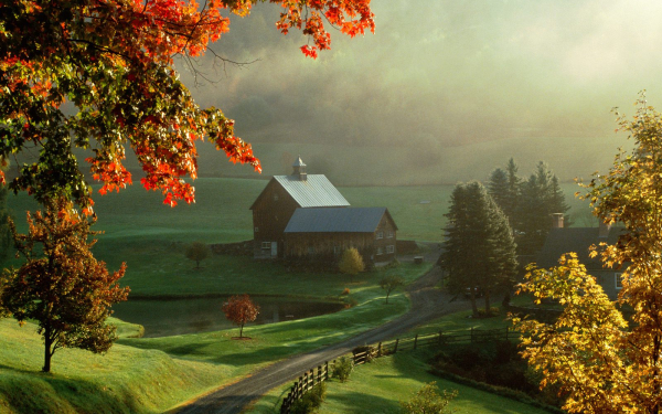 Домики на проселочной дороге в Колорадо