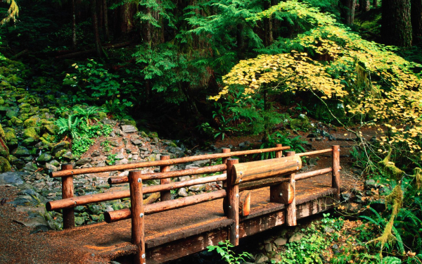 Мостик через ручей