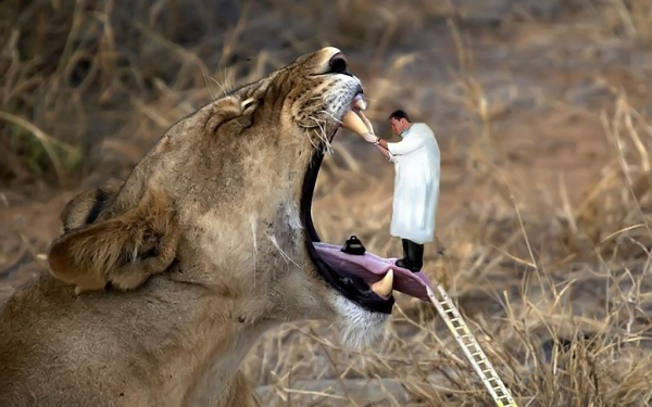 Доктор Айболит