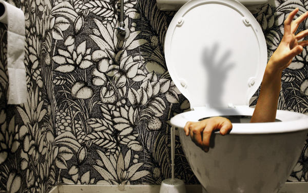 Чтобы  это  значило ?