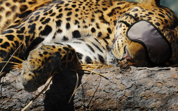 Иначе  не заснешь