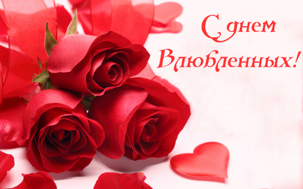 Розы на 14 февраля