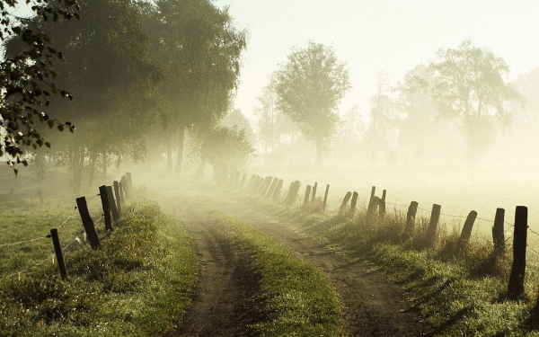 Утренний туман