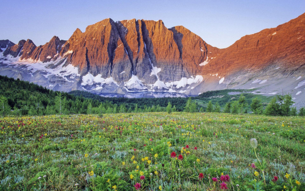 В горах весна