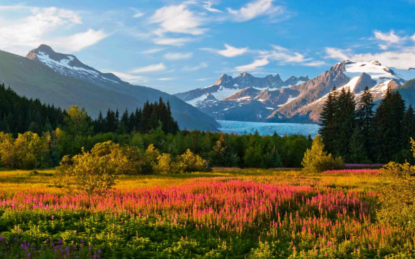 Лето в долине