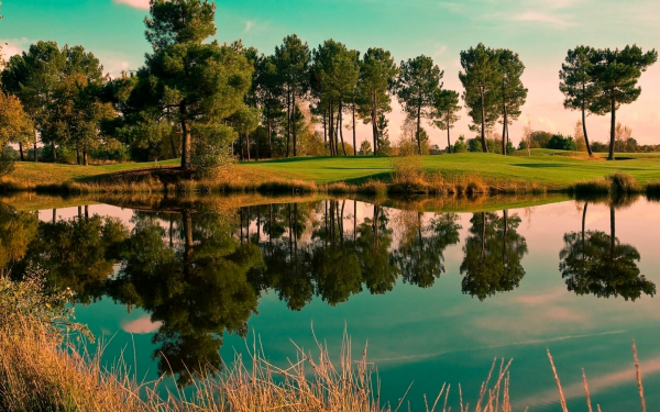 Красивая картинка природы