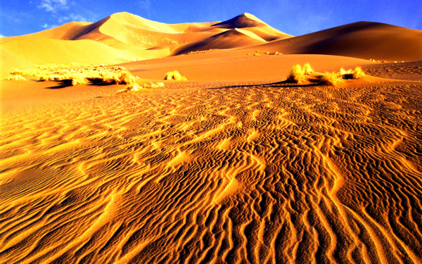 Пустынный пейзаж