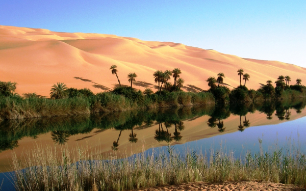 Оазис в пустыне